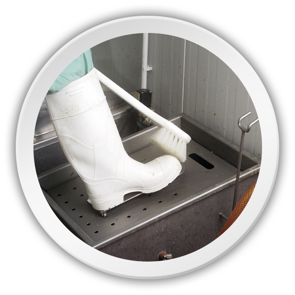 4086 - Cepillo Multiuso Mango Largo - Imagen 3